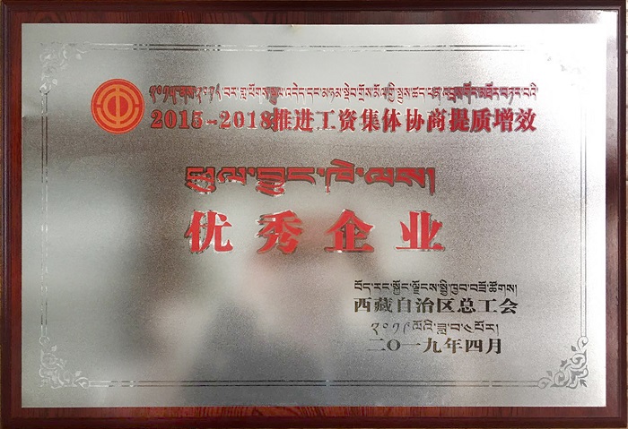 西藏阜康醫(yī)院 西藏阜康醫(yī)院